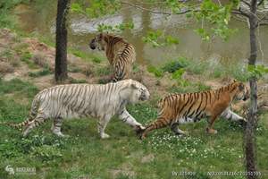 神雕山野生动物园